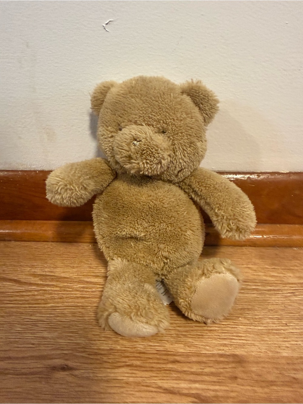 Carters Precious Firsts Teddy Bear Plush Tan Brown 2014 63208 Stuffed Animal